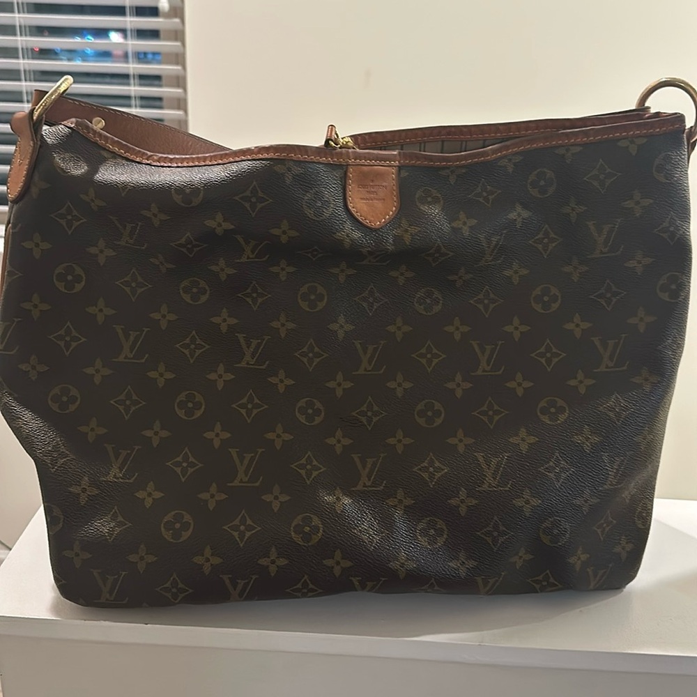 Louis Vuitton Monogram Delightful Hobo